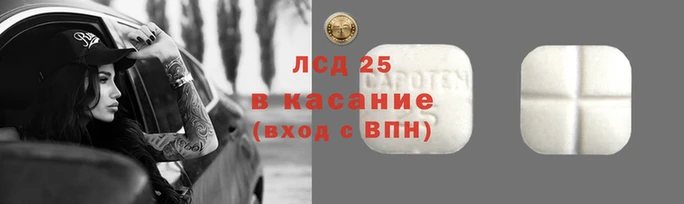 СК Липки