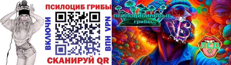 Галлюциногенные грибы мухоморы  даркнет сайт  Салаир 
